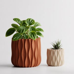 May include: Two cylindrical plant pots with a vertical wave pattern. The larger pot is terracotta orange and holds a green Peperomia plant. The smaller pot is cream-colored and contains a small, spiky green succulent plant.