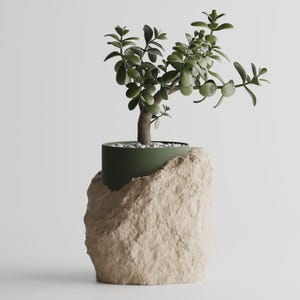 May include: A small green jade plant potted in a dark olive green cylindrical container that is partially encased in a textured, light beige rock-like base. The soil surface is covered with small white pebbles, and the plant has thick leaves.