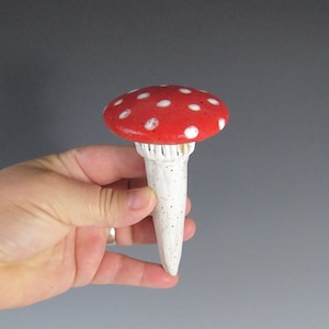キノコの穂