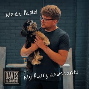Puede incluir: Una persona con cabello casta&ntilde;o rizado y gafas lleva una camiseta oscura y sostiene a un perro peque&ntilde;o negro y fuego. El texto "Meet Paolo!" y "My furry assistant!" es visible, junto con el logo "DAVES HARDWOOD" sobre un fondo de ladrillo oscuro.