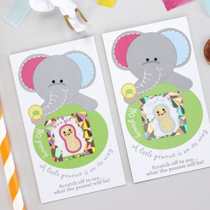 10 Baby Gender Reveal Scratch Off Cards Pink & Blue Elephant image 1