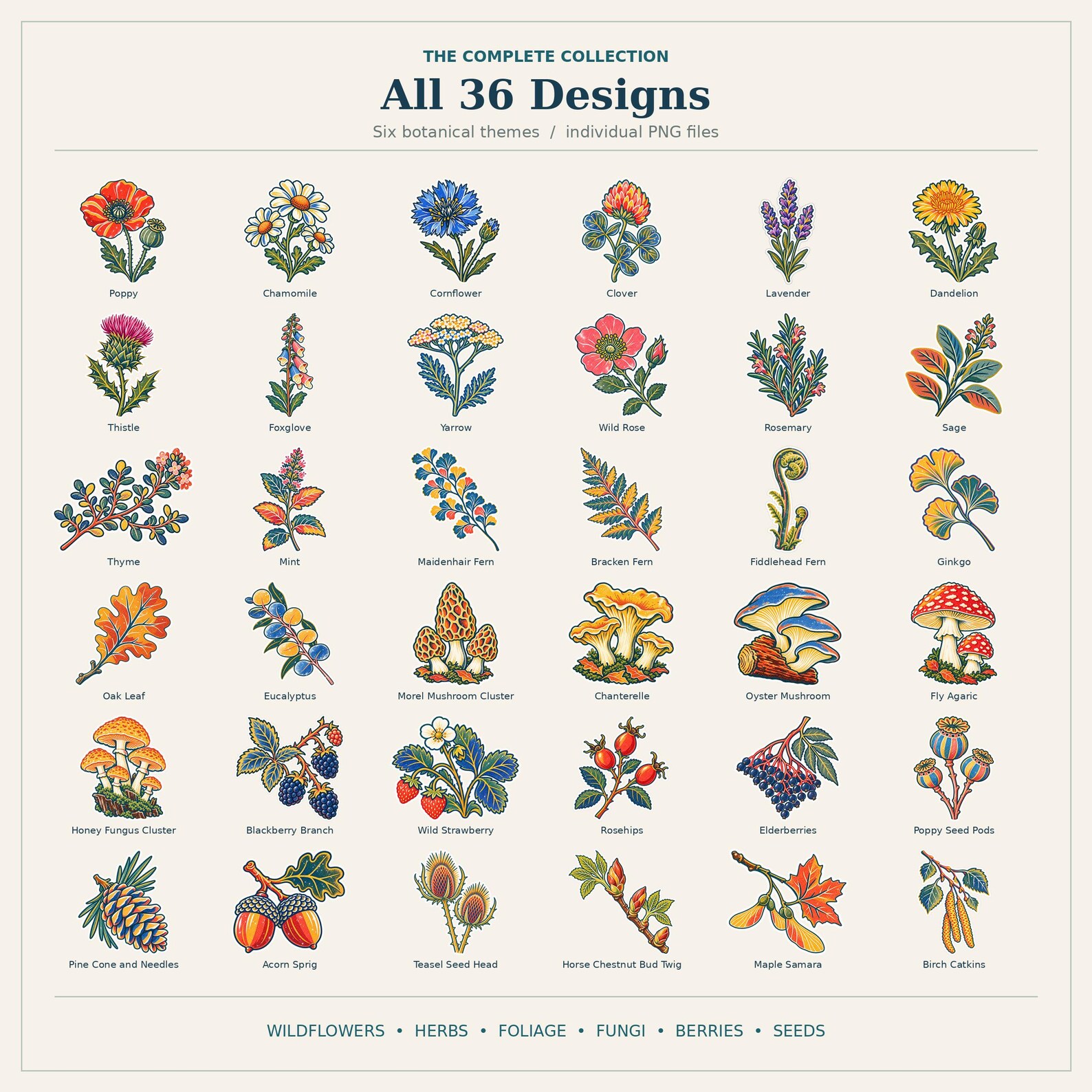 Botanical Field Notes Digital Stickers | 36 Colorful Rubber Stamp Pngs ...