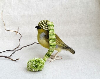 Needle felted birds, Felted birds in a hat Siskin Needle felted toys Handmade Wool toys make this item for your order