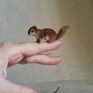 Micro Squirrel Felt toy Handmade Doll Soft Sculpture OOAK Needle Felted Wool Animals New... I will make this item for your order image 6