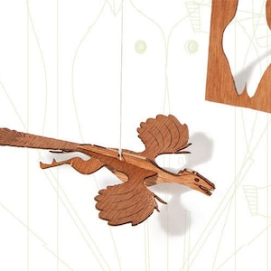 Postkarten aus Holz – Archaeopteryx 3er-Set