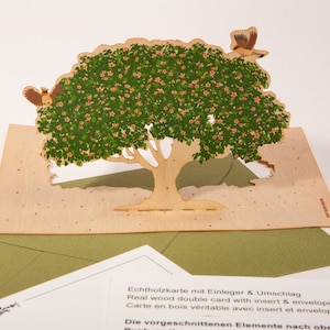 3 cartes pop-up en bois avec enveloppe – printemps des arbres