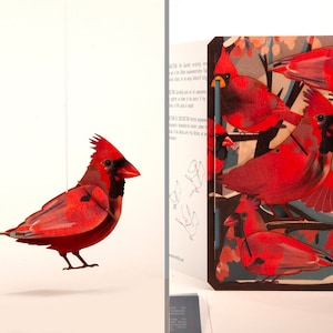 Rode kardinaal 3D decoratieve wenskaart