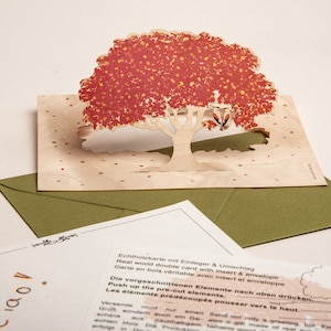 3 cartes pop-up en bois avec enveloppe – arbre d'automne