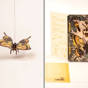 Butterfly 3D Decoratie Wenskaart