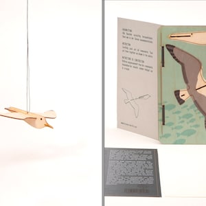 Carte de vœux Seagull 3D Décoration