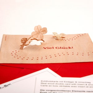 3 cartes pop-up en bois avec enveloppes – Coccinelles anglaises