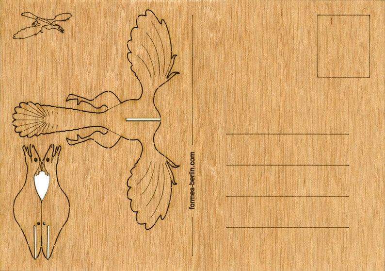 Wooden Postcard Archaeopteryx 3 Cards image 3