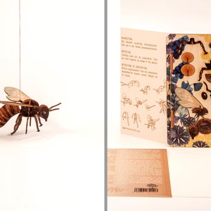 3D-Grußkarte aus Holz mit Motive Biene als 3D-Puzzle