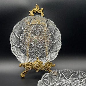 Hoya Cordial Glass - Etsy