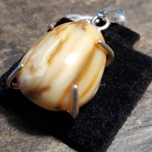 Petrified Wood Sterling Silver  Pendant