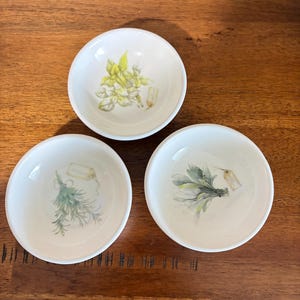 May include: Three small, round, white ceramic bowls. Each bowl features a different botanical illustration of herbs in the centre: one with yellow-green basil, one with green rosemary, and one with sage, each accompanied by a small paper tag.