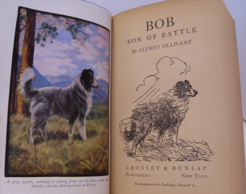 May include: A black and white illustration of a dog standing on a grassy field with mountains in the background. The text "BOB SON OF BATTLE By ALFRED OLLIVANT" is printed above the illustration. The text "GROSSET & DUNLAP PUBLISHERS NEW YORK By arrangement with Doubleday, Doran & Co." is printed below the illustration.