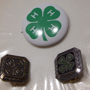 May include: Three 4-H pins. One is a large green and white button with the 4-H clover and the letter H in each leaf. The other two are smaller, square pins with a black clover and the letter H in each leaf. One pin says "SECOND" and the other says "COUNTY".