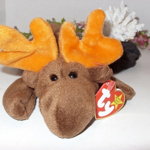 Ty Beanie Baby Chocolate the Moose ERRORS Retired Vintage Collectible