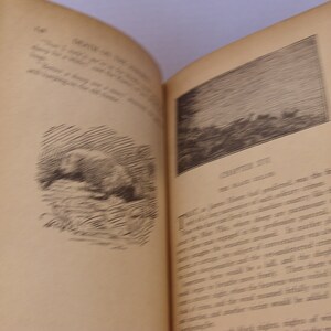 May include: A black and white illustration of a bear walking through a forest. The text "CHAPTER IV" is visible at the bottom of the page.