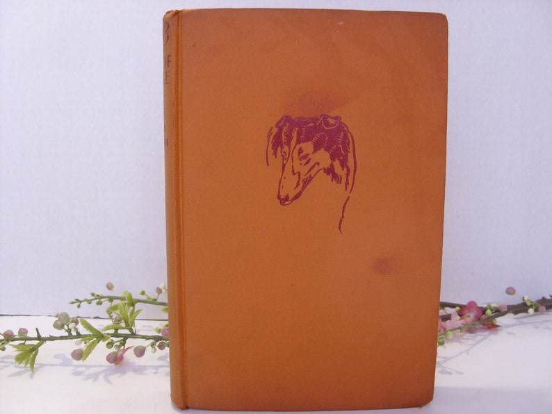 May include: An orange hardback book with a red illustration of a dog's head on the front cover.