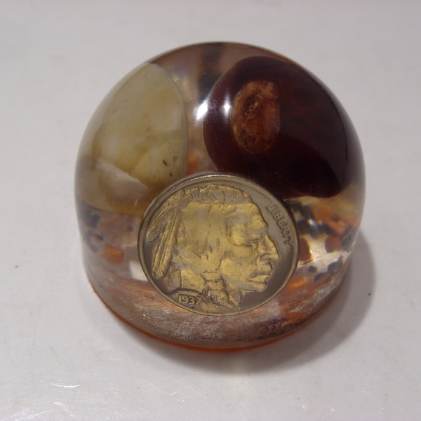 Ohio Buckeye Souvenir Paperweight with Official Gem Flint and a Buffalo Nickel in Lucite Vintage Ohio Souvenir Paperweight Great Gift