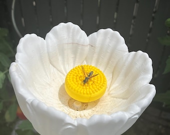 Bain à oiseaux/insectes