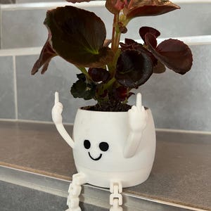 Pot de fleur Fu*ck