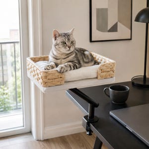 May include: A silver tabby cat resting on a rectangular pet bed with woven light tan wicker sides and a soft white cushion. The bed is mounted on a black metal clamp stand that attaches to the edge of a desk, elevating the cat above the surface.