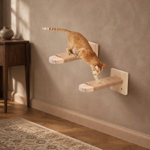 May include: Two light-colored wooden wall-mounted cat shelves with sisal rope wrapping on the horizontal surfaces. The shelves are positioned at different heights on a wall, with an orange tabby cat stepping from the top shelf to the lower one.