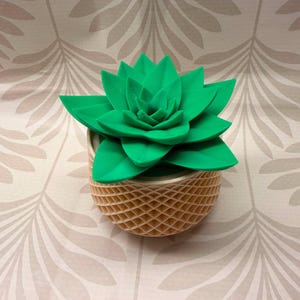 Trappola decorativa per mosche della frutta