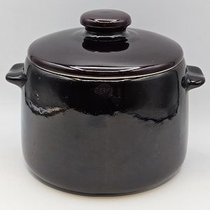 May include: A dark brown, glossy ceramic pot with a matching lid and two small side handles. The pot features a smooth, reflective finish and a rounded body shape, with a knob handle centered on the lid for easy removal and secure placement.
