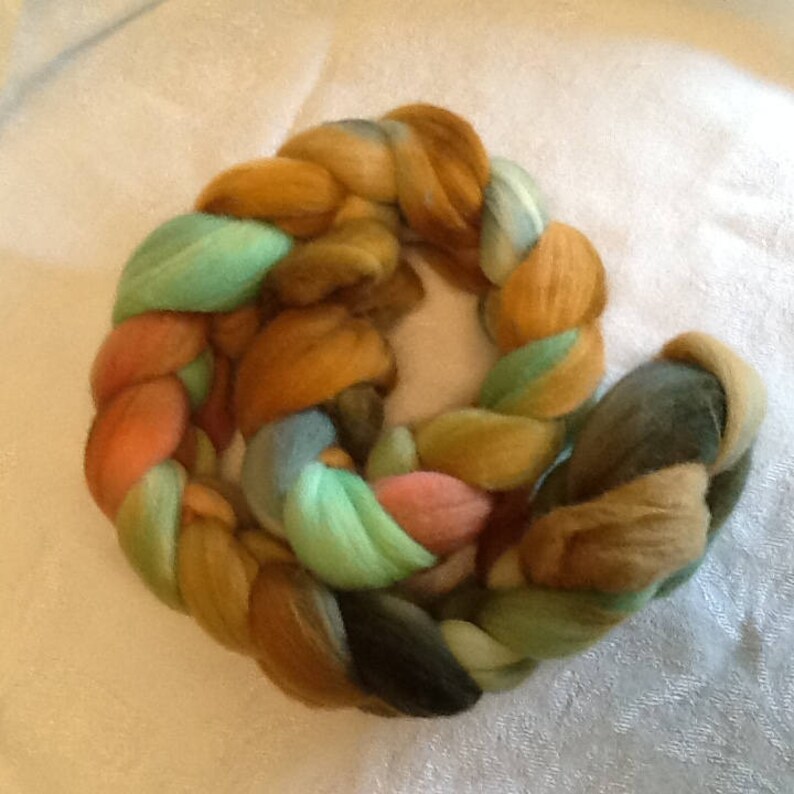 64 count merino combed top Turtle Trail 4 oz. handpainted