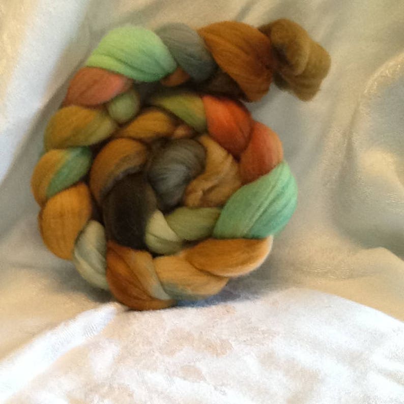 64 count merino combed top Turtle Trail 4 oz. handpainted