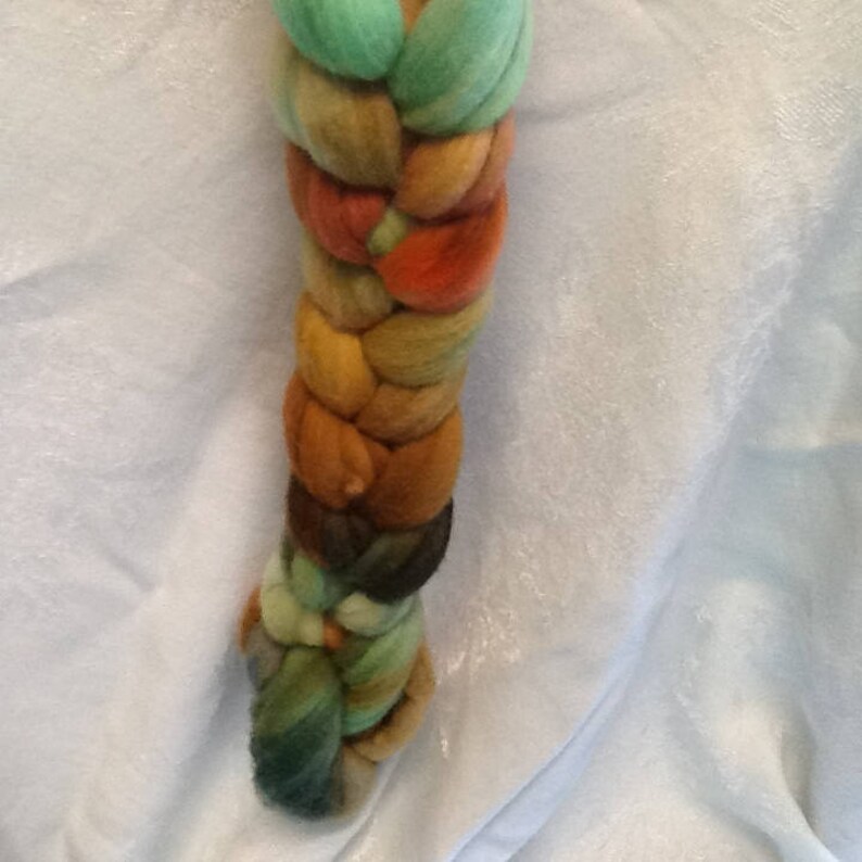 64 count merino combed top Turtle Trail 4 oz. handpainted