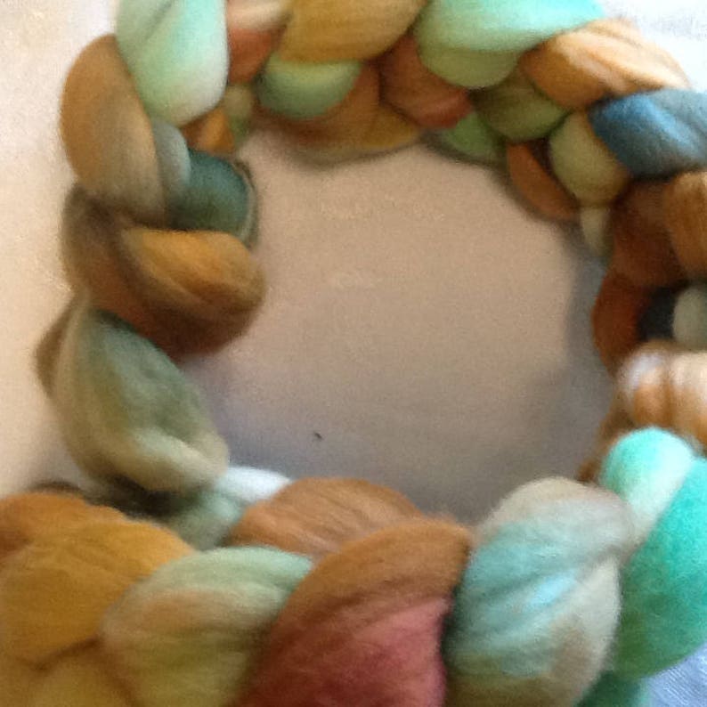 64 count merino combed top Turtle Trail 4 oz. handpainted