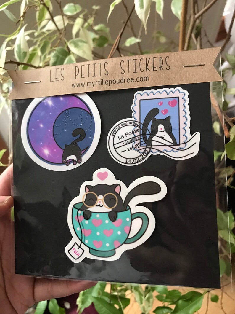 Lot Stickers Melon Le Chat Rond Etsy