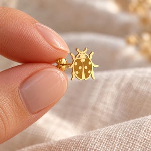 May include: A gold-toned stud earring shaped like a ladybug with a flat, polished surface featuring cut-out details for the wings and spots. The earring includes a small post and a secure backing mechanism attached to the insect-shaped design.