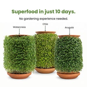 Może przedstawiać: Trzy doniczki z terakoty z zielonymi kiełkami oznaczone jako Watercress, Chia i Arugula. Tekst powyżej brzmi: Superfood in just 10 days. No gardening experience needed. Rośliny rosną pionowo wokół zewnętrznej części każdej doniczki.