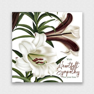 JW Sympathy, comfort