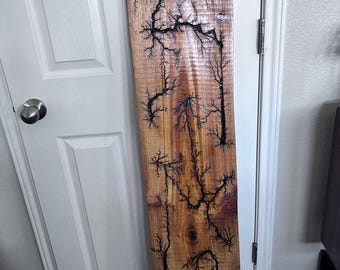 Lichtenberg fractal burn