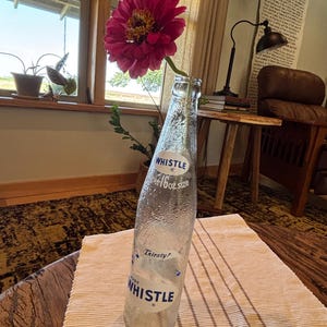 May include: A clear glass bottle with a textured surface containing a single bright pink zinnia flower. The bottle features blue text that reads WHISTLE, super 16oz. size, Thirsty?, and JUST WHISTLE. The glass has a condensation-like appearance.
