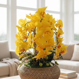 Orchid Arrangement in Oval Basket Vase