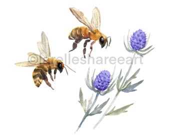 Honey Bees WHITE Watercolour Painting Print Wall Art Nature Floral Wildflowers Insects