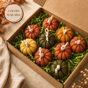May include: A cardboard gift box containing nine pumpkin-shaped candles in various colors including orange, yellow, rust, and olive green. Each candle features a white cotton wick centered on top. The candles rest on a bed of green paper shred filler.