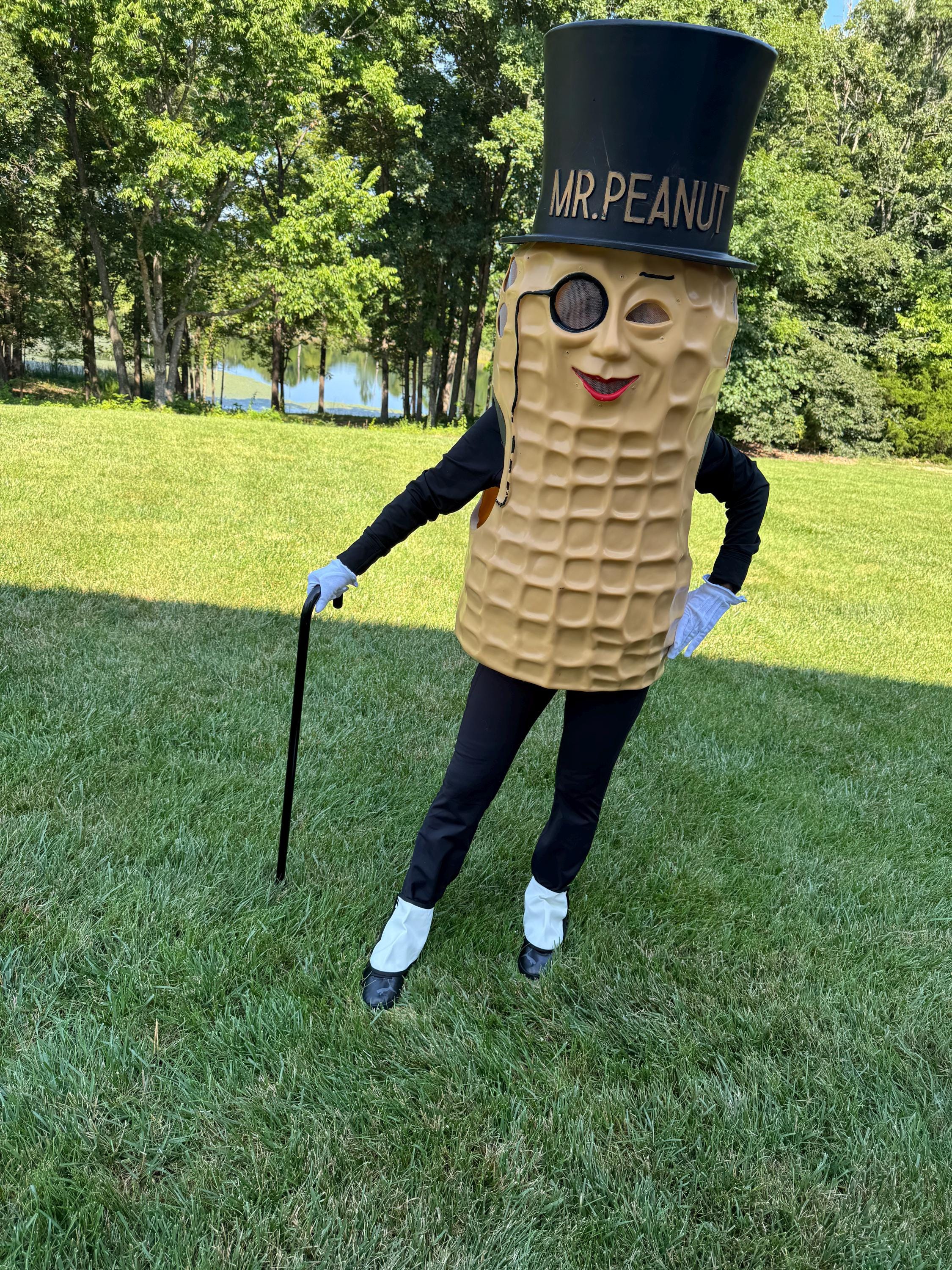 Mr Peanut Costume - Etsy