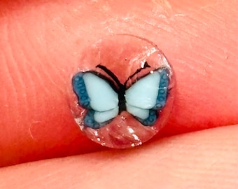 Baby Blue Butterfly COE104 murrini