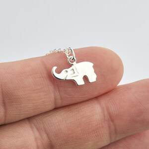 May include: A silver-colored elephant pendant attached to a delicate silver-colored chain. The elephant charm features a smooth, polished surface with a simple cutout design representing the eye and ear, suspended by a small circular jump ring.