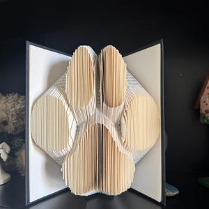Può includere: Una scultura di libro con pagine piegate che formano la sagoma di un'impronta di zampa. Il libro è aperto con le copertine rigide estese verso l'esterno, mostrando i bordi di carta stratificati che creano il cuscinetto centrale e quattro dita.