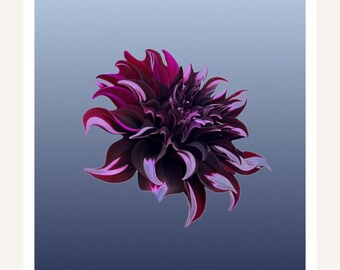 Wandbild „Dunkle Dahlie“ zum Ausdrucken | Stimmungsvolle Pflaumenblüte auf Himmelblau | Ausdrucksstarker botanischer Druck | Digitaler Download